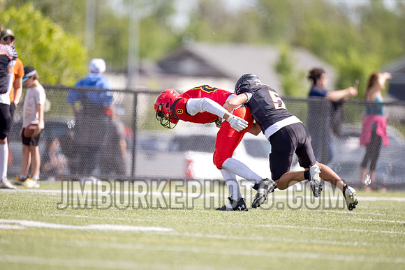 JMB20155-t-denoiseraw-sharpen