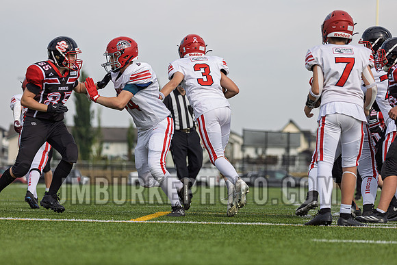 JMB26562