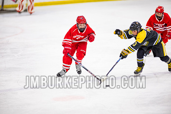 JMB31679