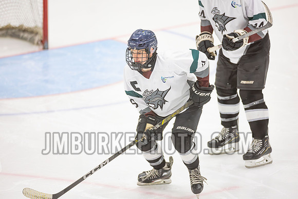 JMB33856