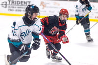 NLW v Silverbacks HC Jan 10