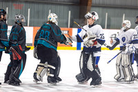 ES Lions v Silverbacks Jan 11
