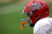 Red and Orange - Sabres, Broncos, Bulldogs/Prospectors