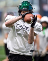 Green - St Joes, Shamrocks