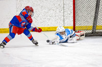 Mustangs v Lakeland Lightning Feb 14
