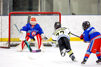 Mustangs v Lions by Lymm Power Skating Feb 14