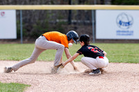 Reds vs Barrhead Orioles May 3