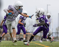 Lions vs Ravens May 13