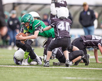 Serpents vs Bears May 14