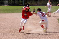 Reds vs St. Albert Cardinals May 24