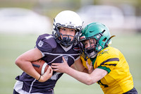 Stingers vs Bears May 23