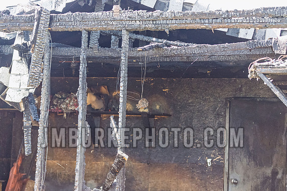 JMB37024