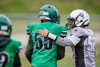 Lions v Serpents June 6