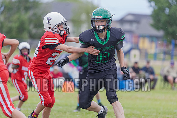 JMB32454