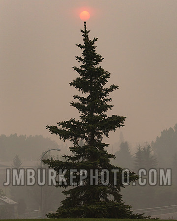 JMB_3280