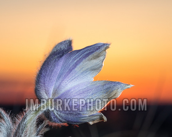 JMBR7119